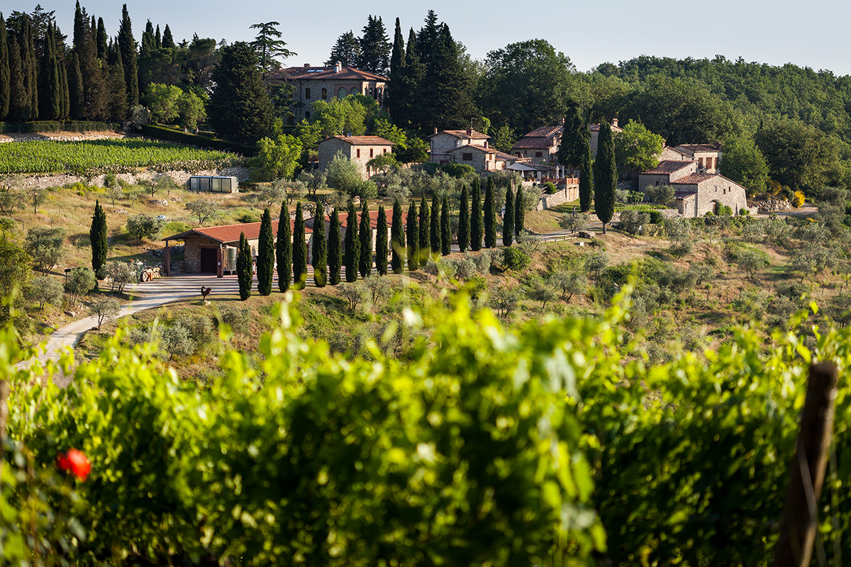 La tenuta Querceto di Castellina Querceto di Castellina, azienda agricola passo dopo passo