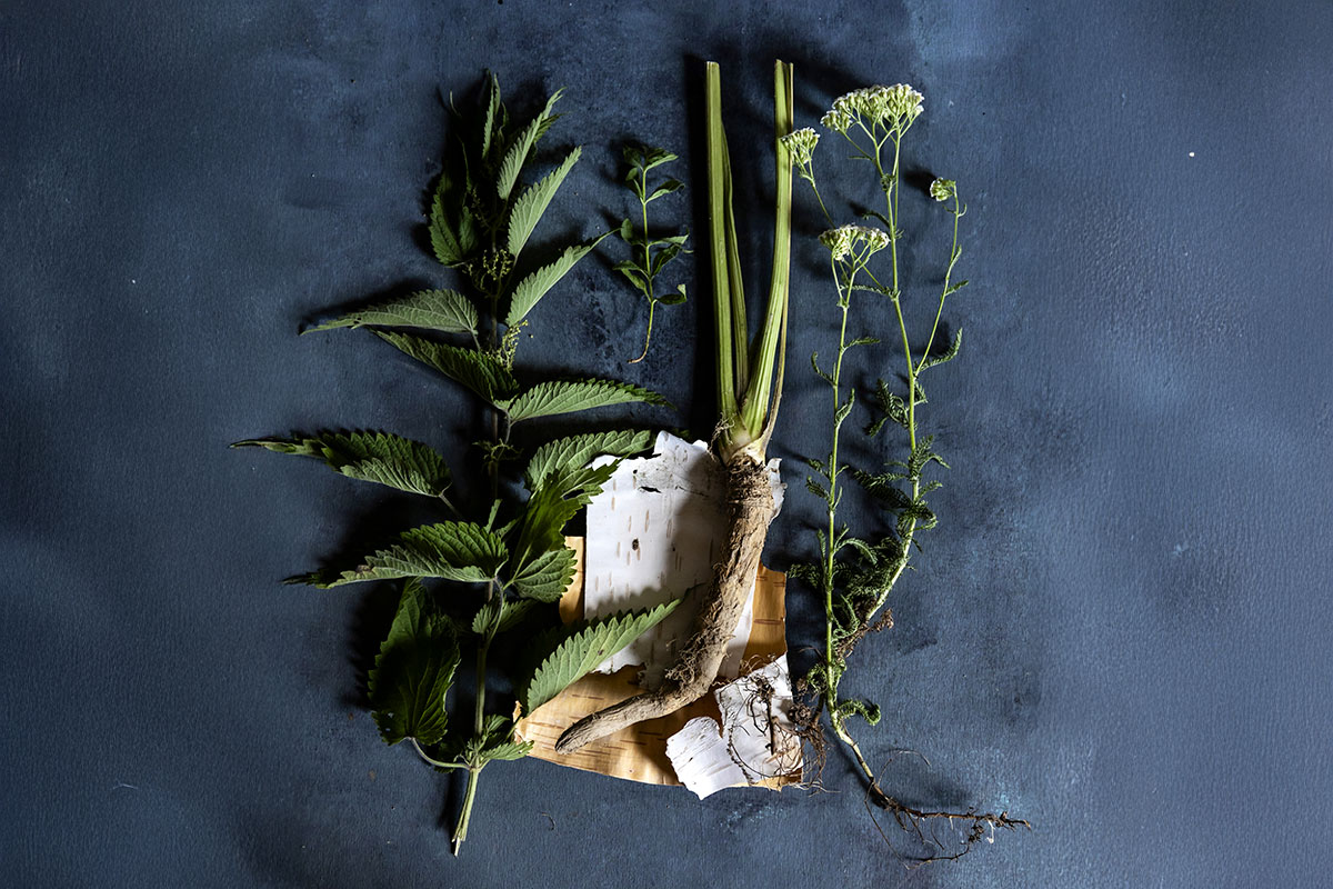 Feral: le bevande italiane che ricreano l’esperienza del vino, ma senza alcol Feral: le bevande italiane che ricreano l’esperienza del vino, ma senza alcol