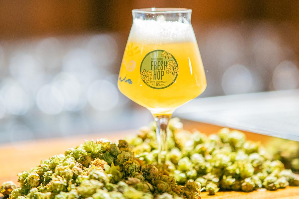 Come nasce una birra agricola in Puglia: la filiera che porta il Salento nel bicchiere