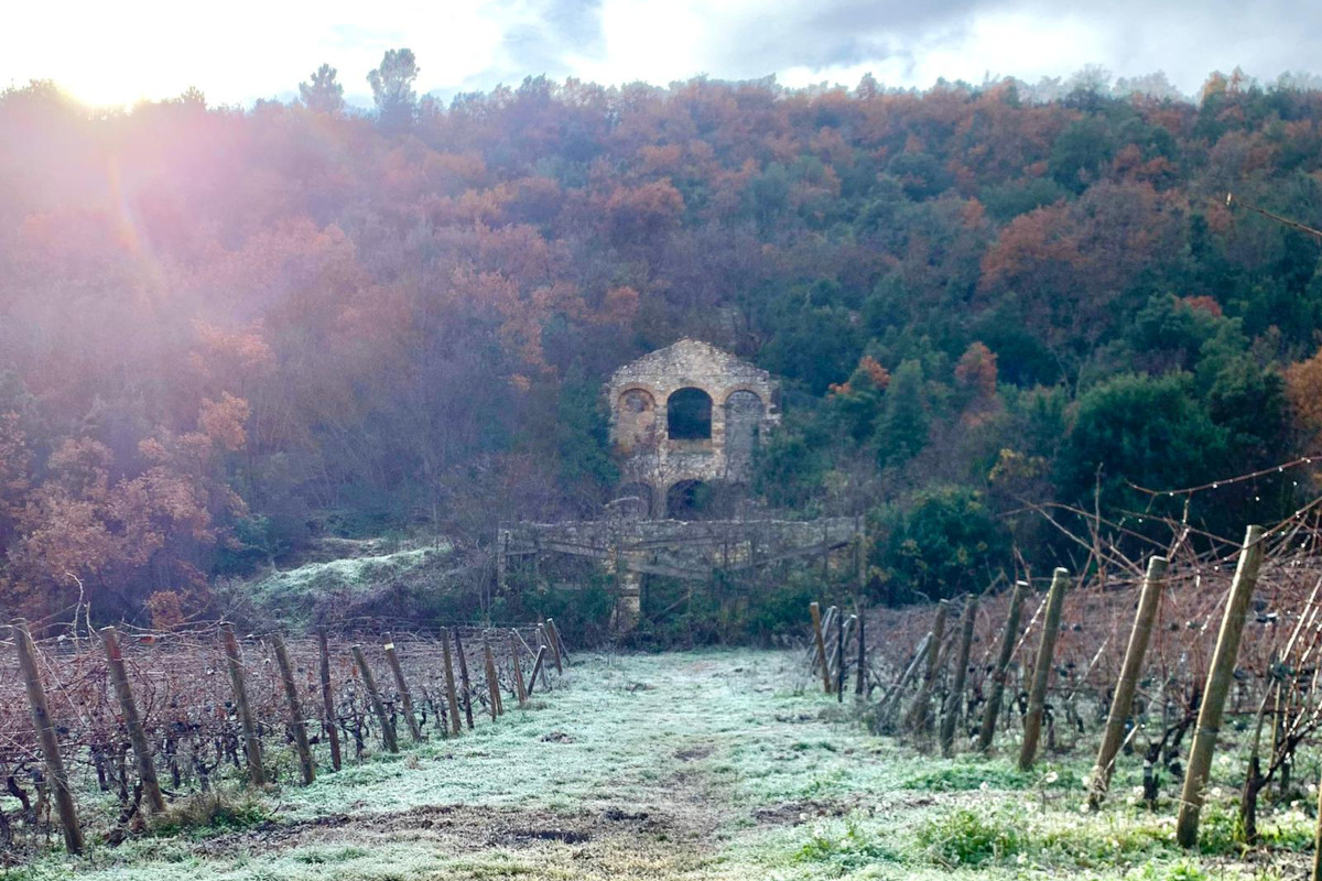 I vigneti Valle Reale, l’eleganza dell’Abruzzo