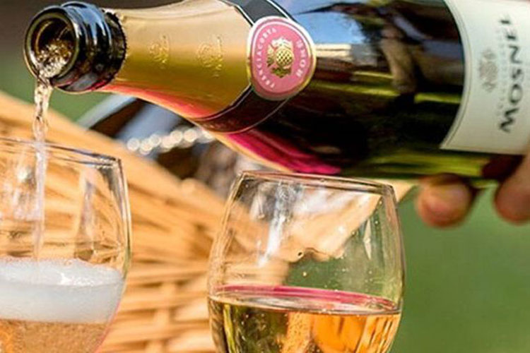 Le degustazioni dei vini della cantina si faranno all'aperto - Mosn&egrave;l, pic-nic nei vigneti e visite nelle cantine del '500