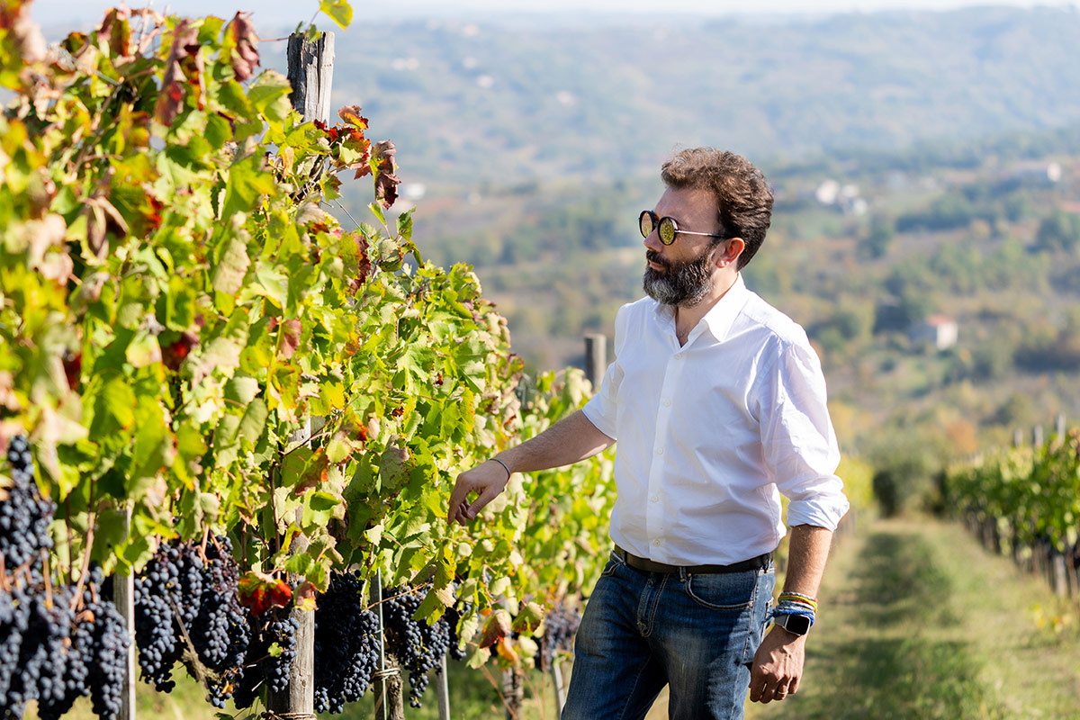 Vincenzo Mercurio in vigna  Come suona il vino? Ce lo dice il miglior enologo d'Italia