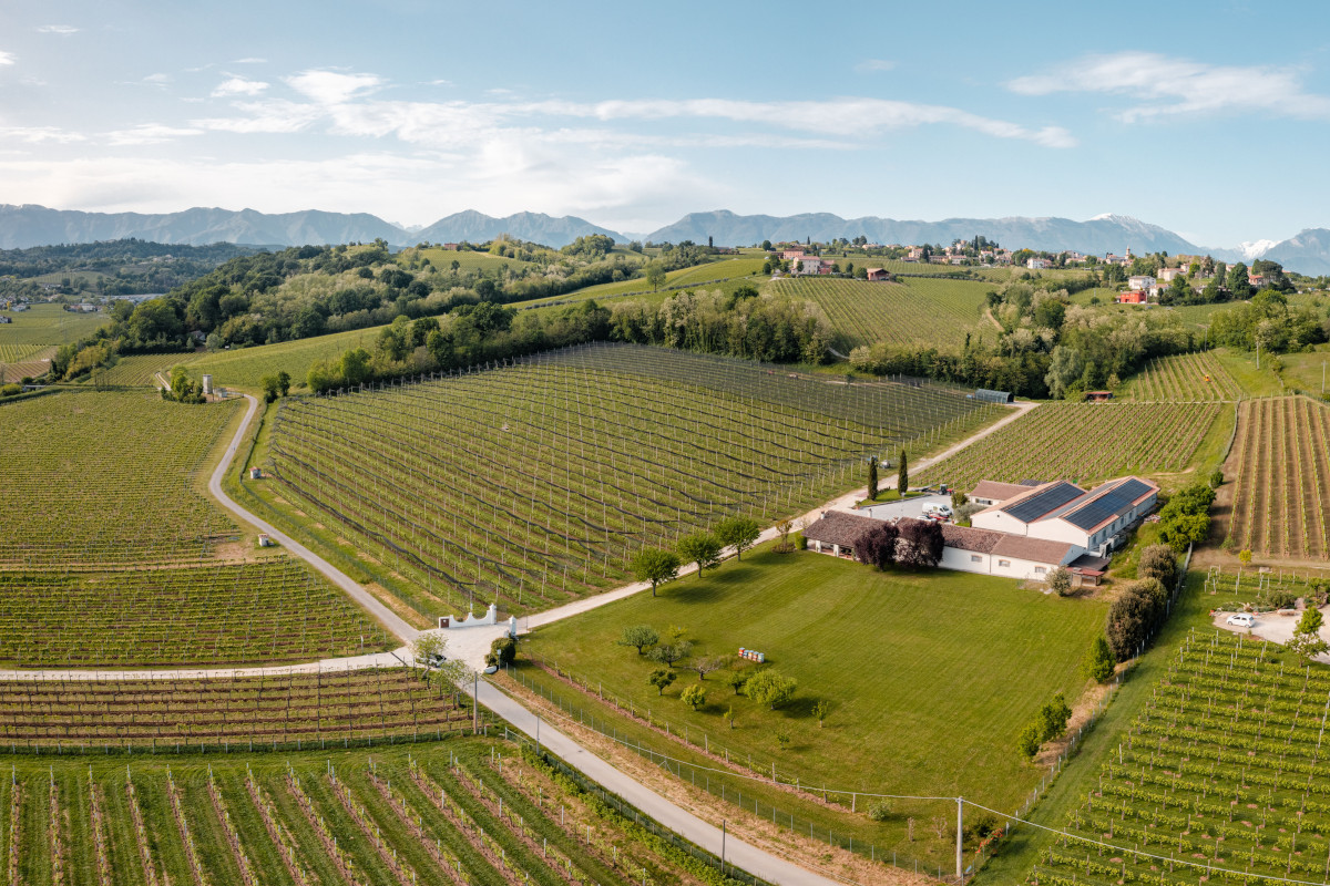 Clorofilla e Alabastro: i Prosecco di Valdobbiadene che sfidano gli stereotipi Clorofilla e Alabastro: i Prosecco di Valdobbiadene che sfidano gli stereotipi