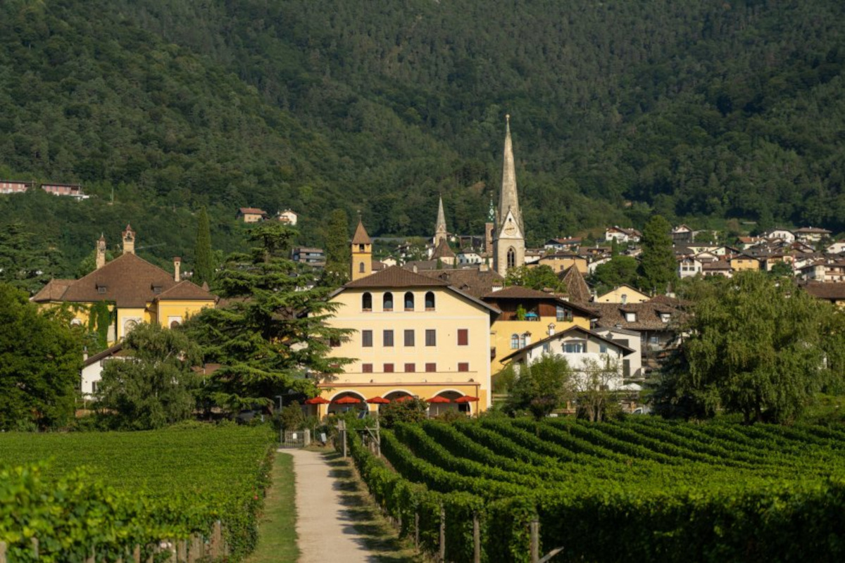 Dalla vigna all'energia: gli scarti del vino diventano calore e compost