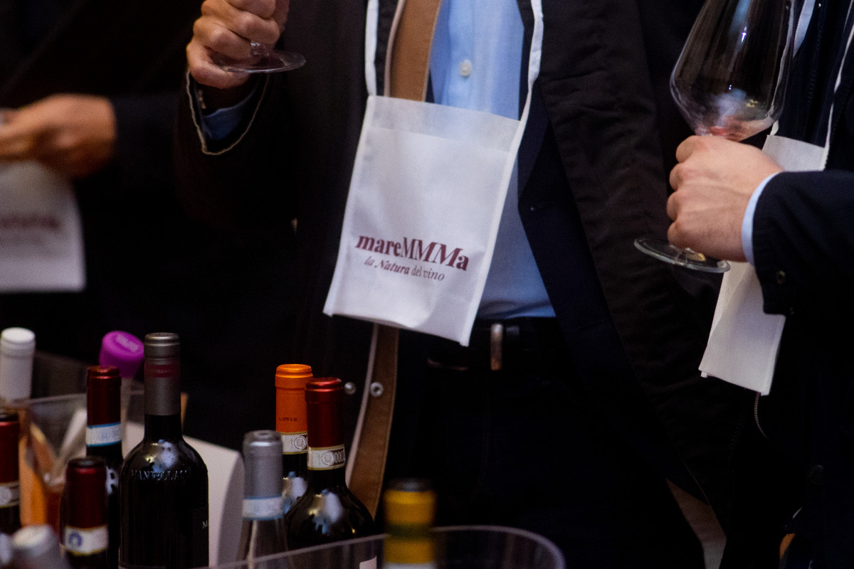 La nuova Maremma del vino: piccole cantine, grandi storie e una biodiversità unica in Italia