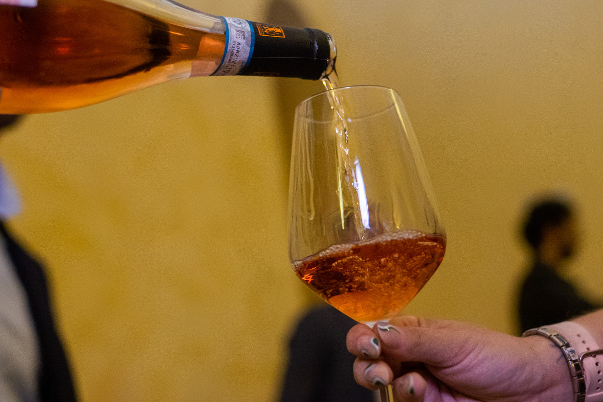 La nuova Maremma del vino: piccole cantine, grandi storie e una biodiversità unica in Italia