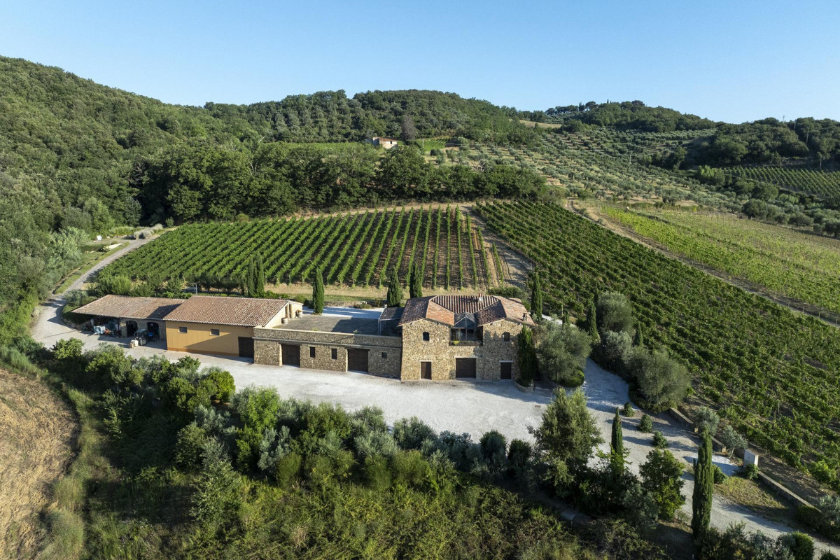 Cecchi, Brunello 2020 e Rosso 2023: le prime due etichette di Aminta svelate a Firenze