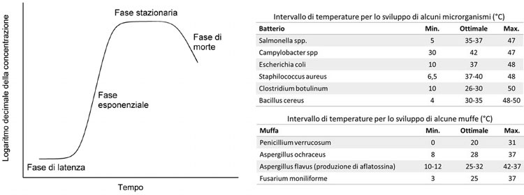 Crescita microbica in funzione del tempo | Crescita microbica in funzione della temperatura (Abbattere i cibi Garanzia igienica dei prodotti)