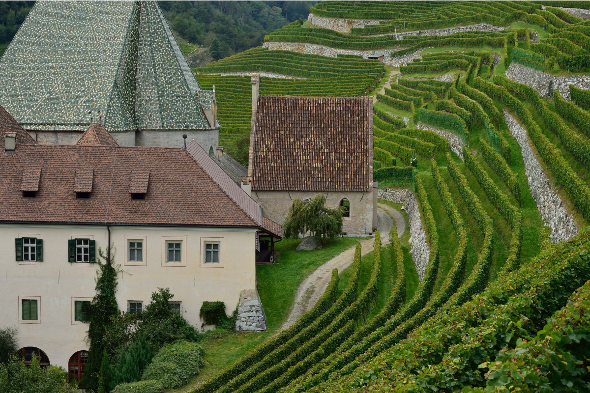 I vigneti intorno all'Abbazia di Novacella (foto Albert Ceolan) Abbazia di Novacella tra le cantine più antiche del mondo