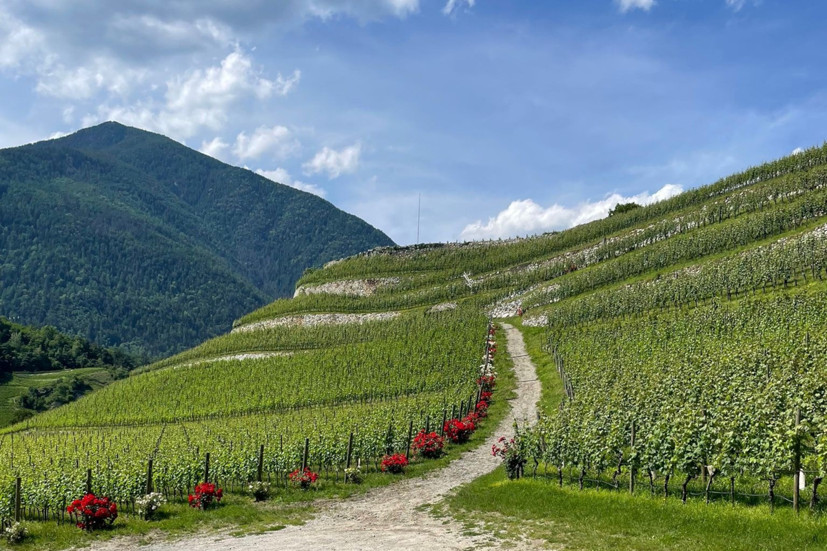 Abbazia di Novacella, tra spiritualità e vini pregiati