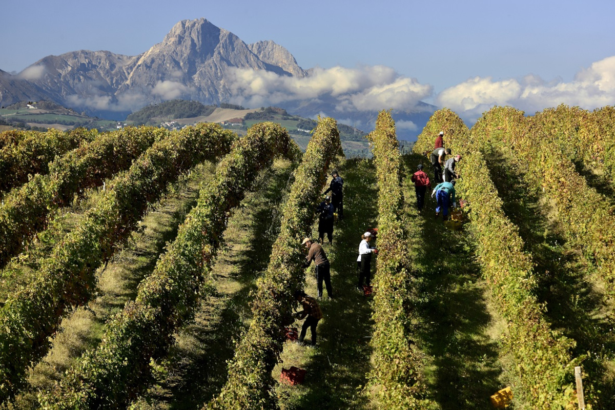 Abruzzo wine experience, in vetrina le migliori etichette della Regione