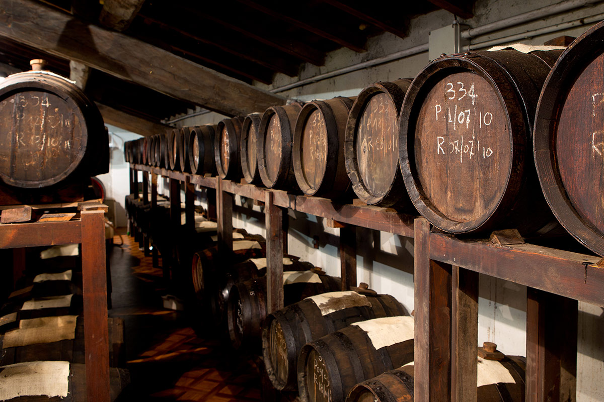 Acetaie aperte, la “Settimana Balsamica” tra gusto, arte e musica