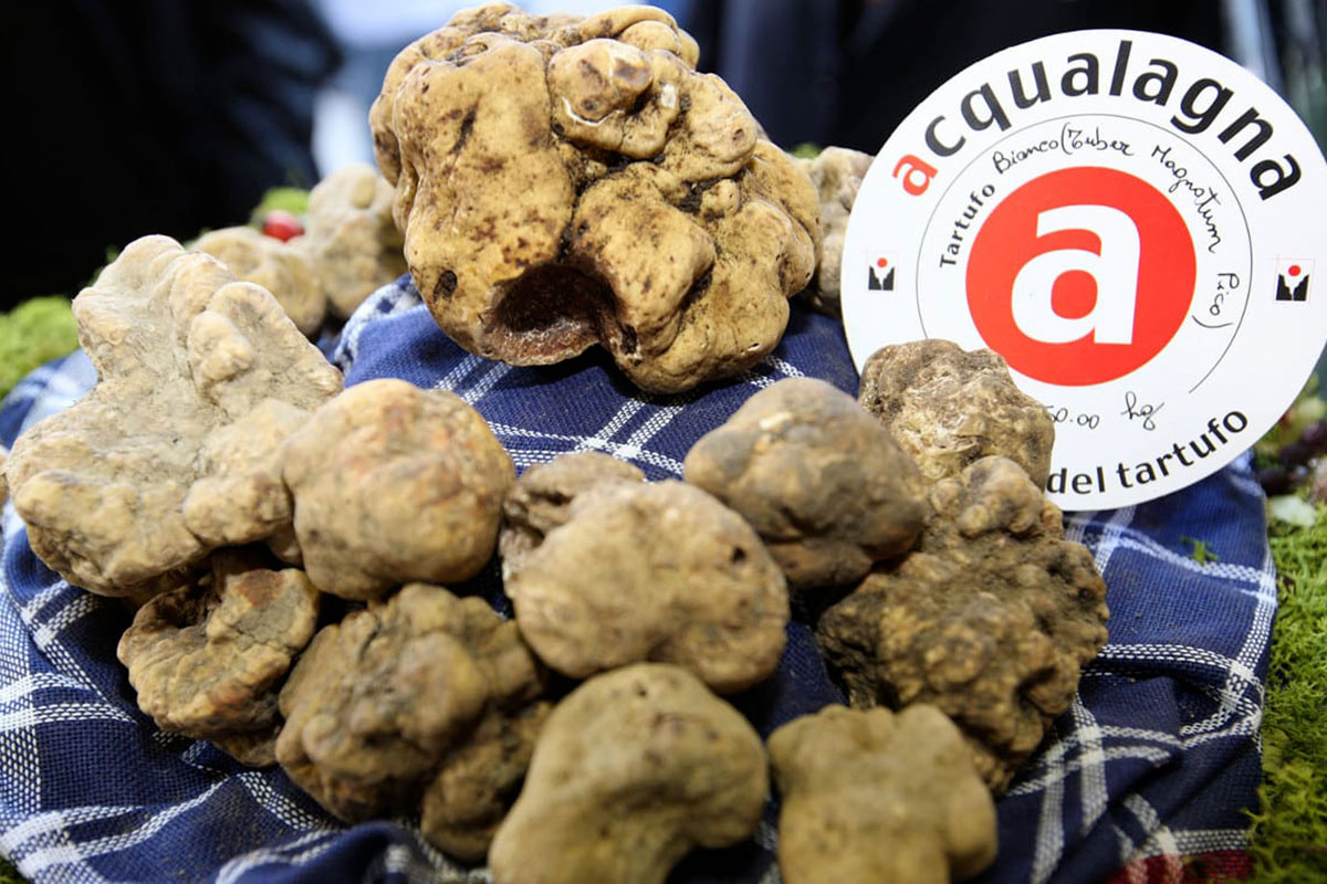 Acqualagna tra le fiere più conosciute Ottobre, il mese delle fiere del tartufo. Ma c'è troppo provincialismo, serve un network