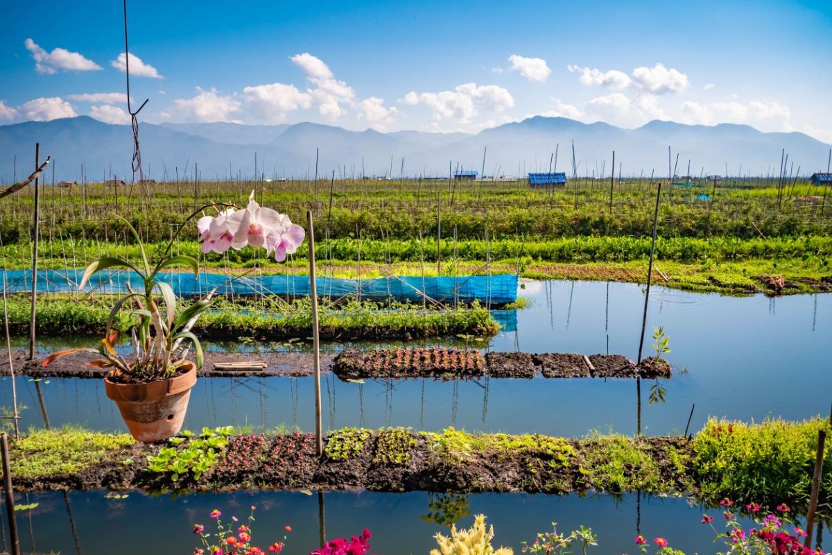 L'agricoltura resiliente salva il mondo? Come adattarsi al cambiamento climatico