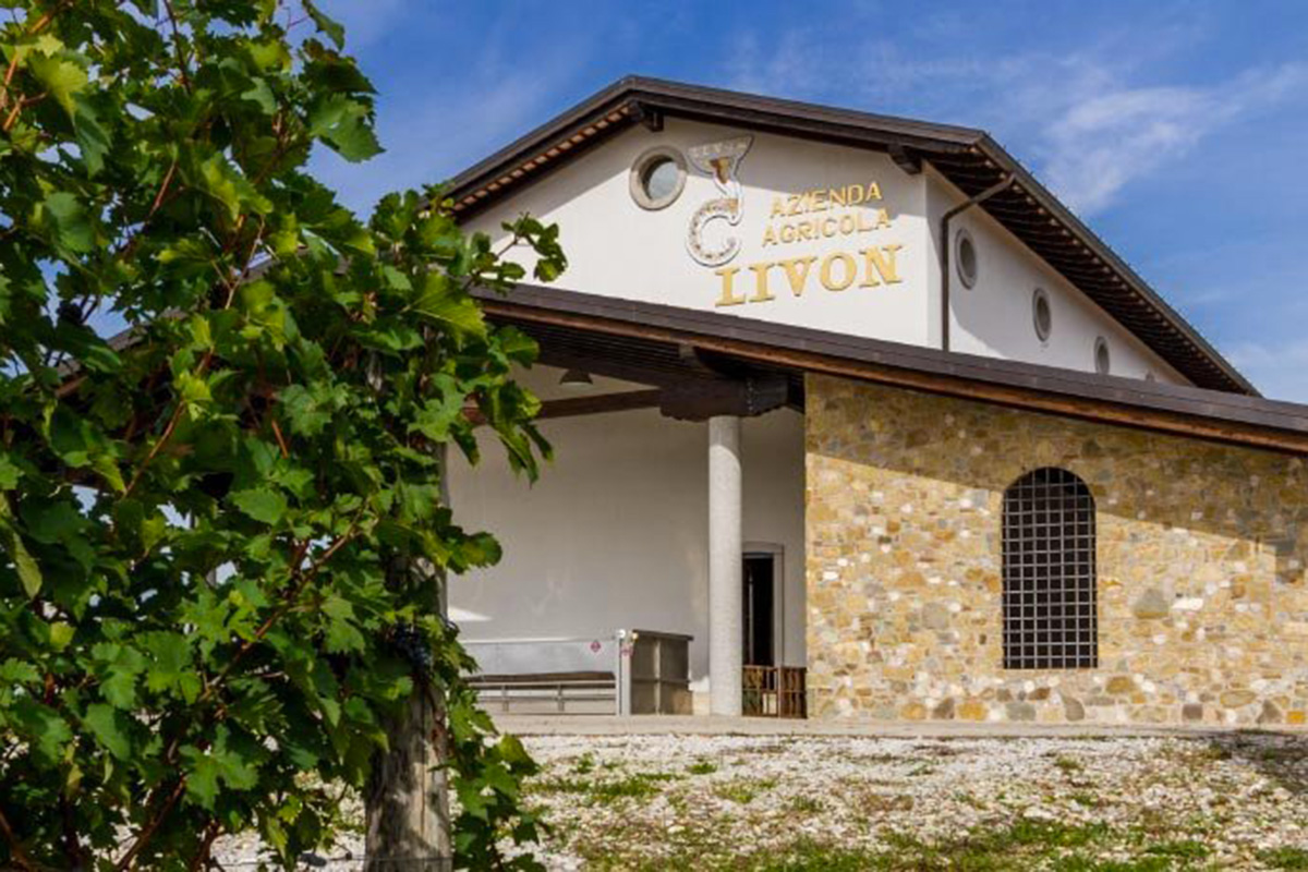 I vini dell'azienda agricola Livon superano a pieni voti l'esame delle guide Le guide premiano i vini di Livon