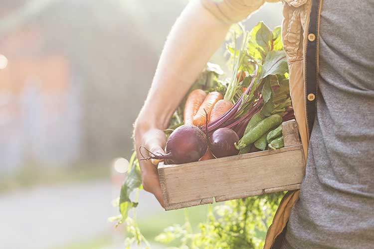 Secondo Coldiretti molti agricoltori scelgono di fermare le coltivazioni per gli alti costi di produzione A ottobre torna a correre il turismo, ma l'inflazione pesa. Consumi di Natale a rischio?