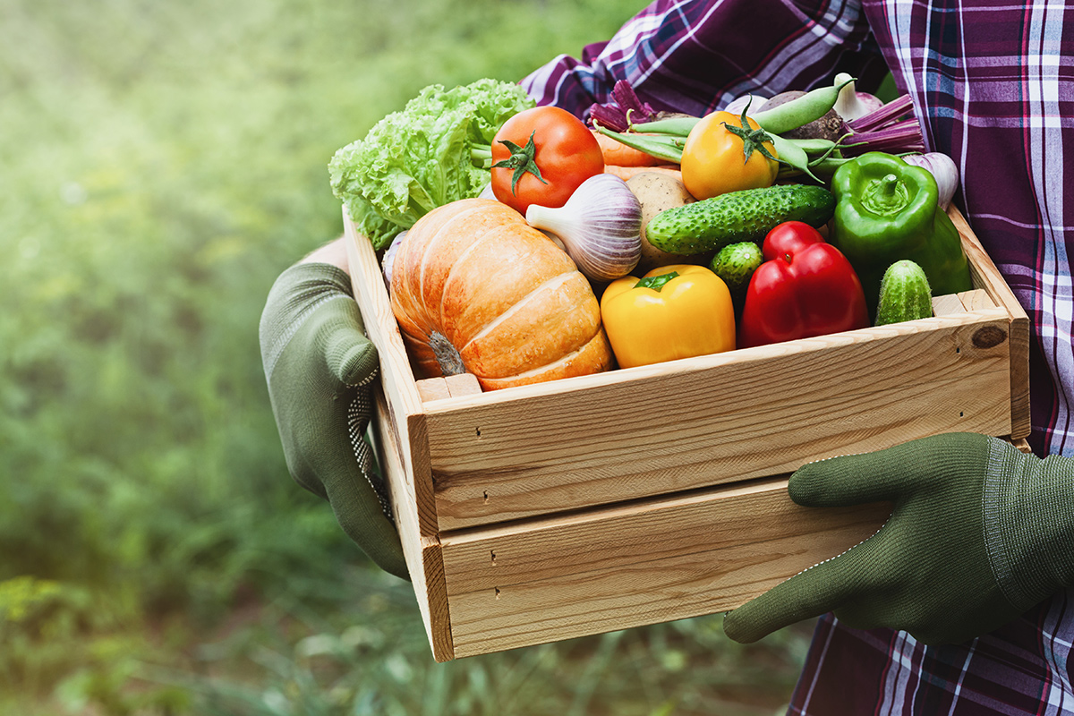 Agricoltura bio, obiettivo espansione Italia, obiettivo agricoltura biologica. La svolta entro il 2027