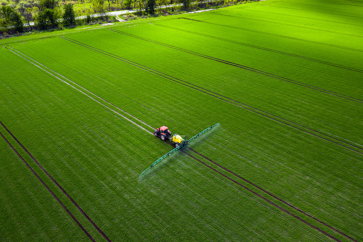 All'asta in Italia quasi 20mila ettari di terreni agricoli