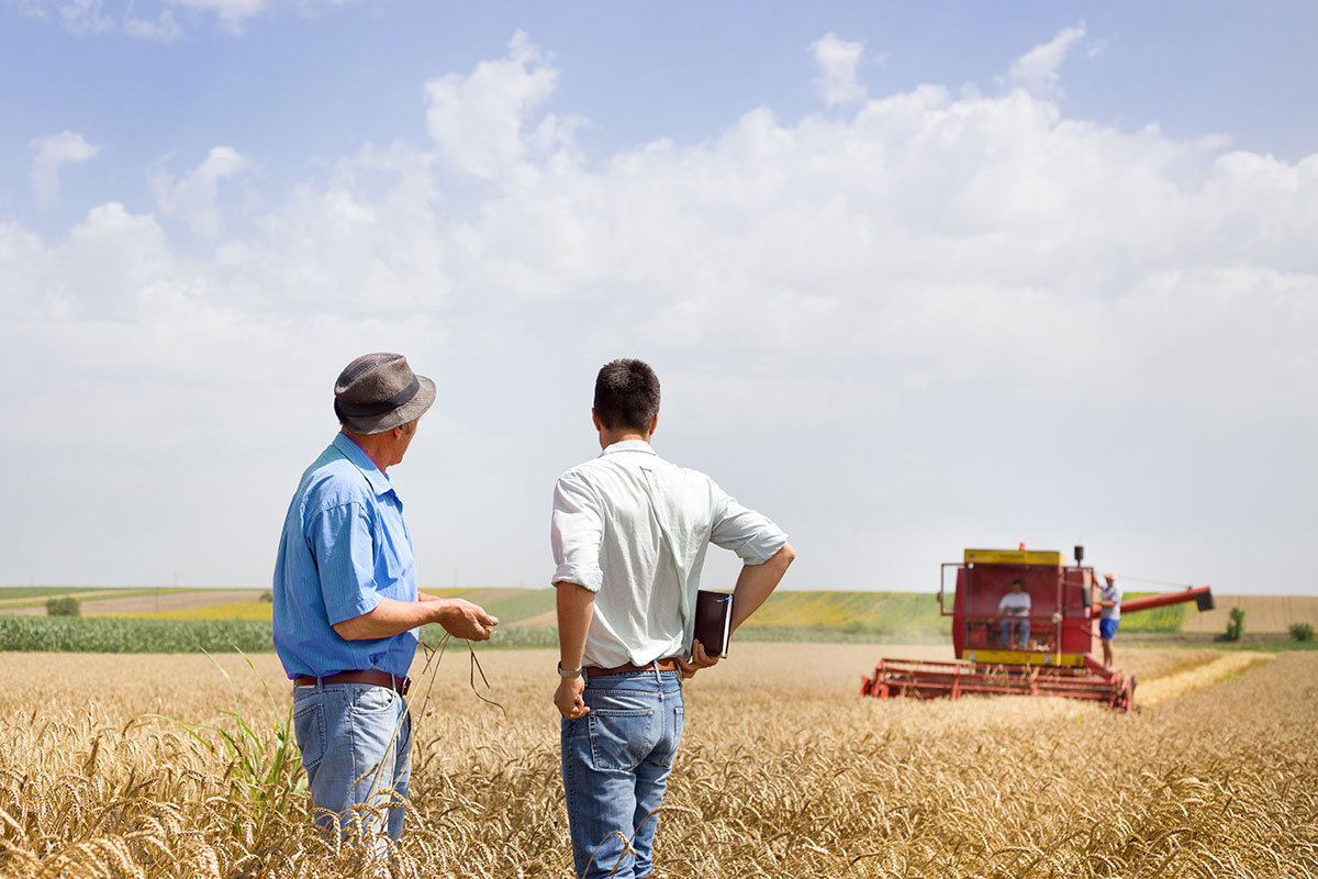 Agricoltura italiana al collasso: debiti per 41 miliardi