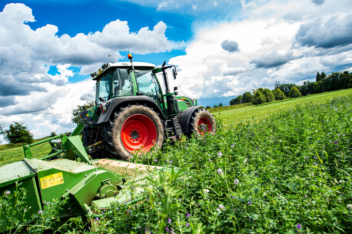 Manovra, tagliati del 70% i costi degli agriconvogli  In manovra c'è il taglio dei costi degli agriconvogli: esulta Coldiretti