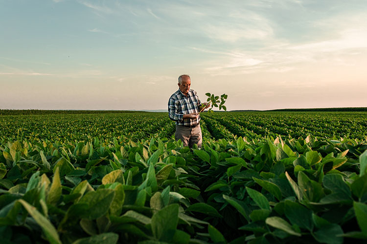 In Italia sempre più imprese agricole condotte da cittadini stranieri