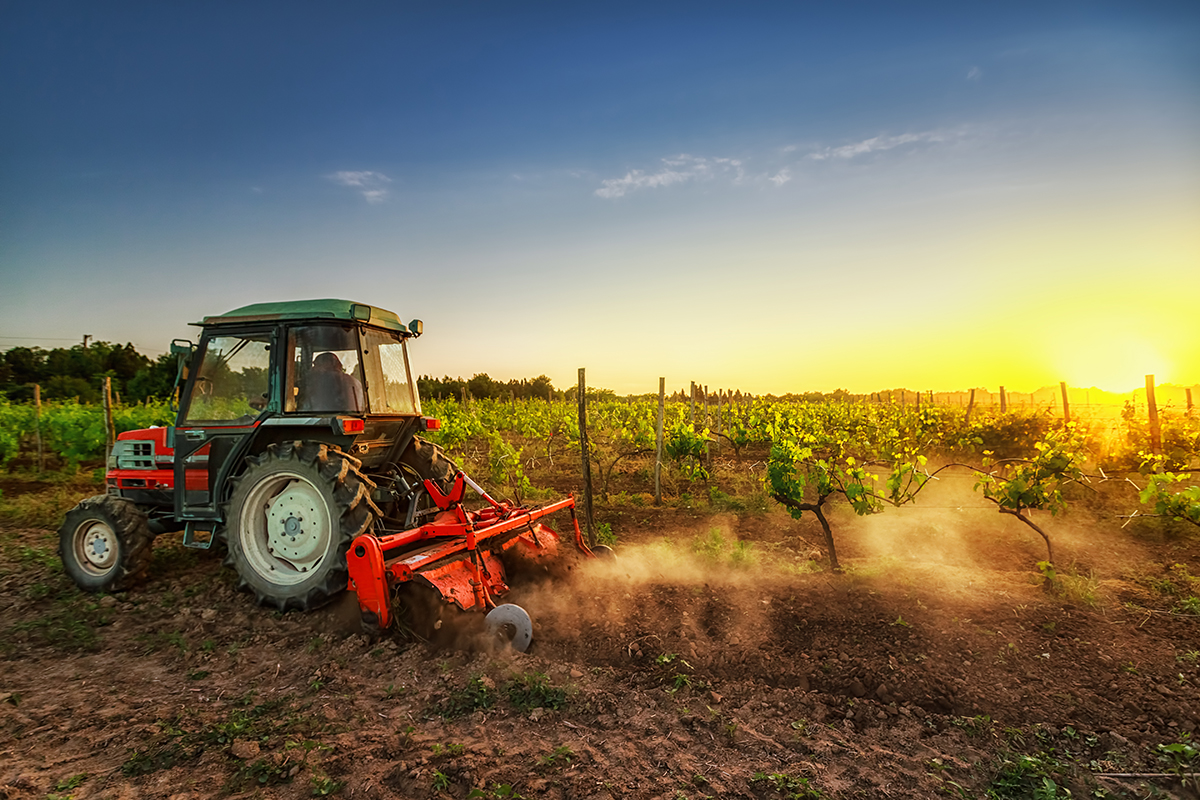 Vento forte e bufere: Coldiretti lancia l'allarme per l'agricoltura