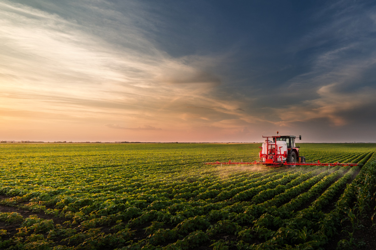 La guerra travolge l'agricoltura: bilanci in rosso per il 30% delle aziende