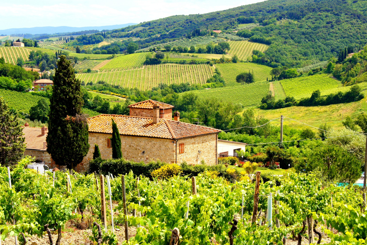 Un agriturismo tra le colline  La rinascita degli agriturismi. Il segreto? Un'offerta sempre più ampia