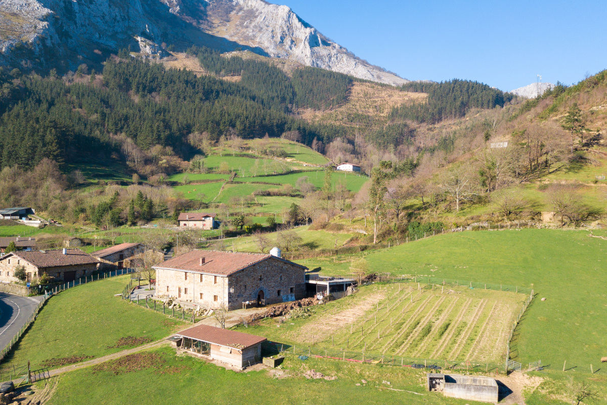 Agriturismi in crisi, perso oltre un miliardo