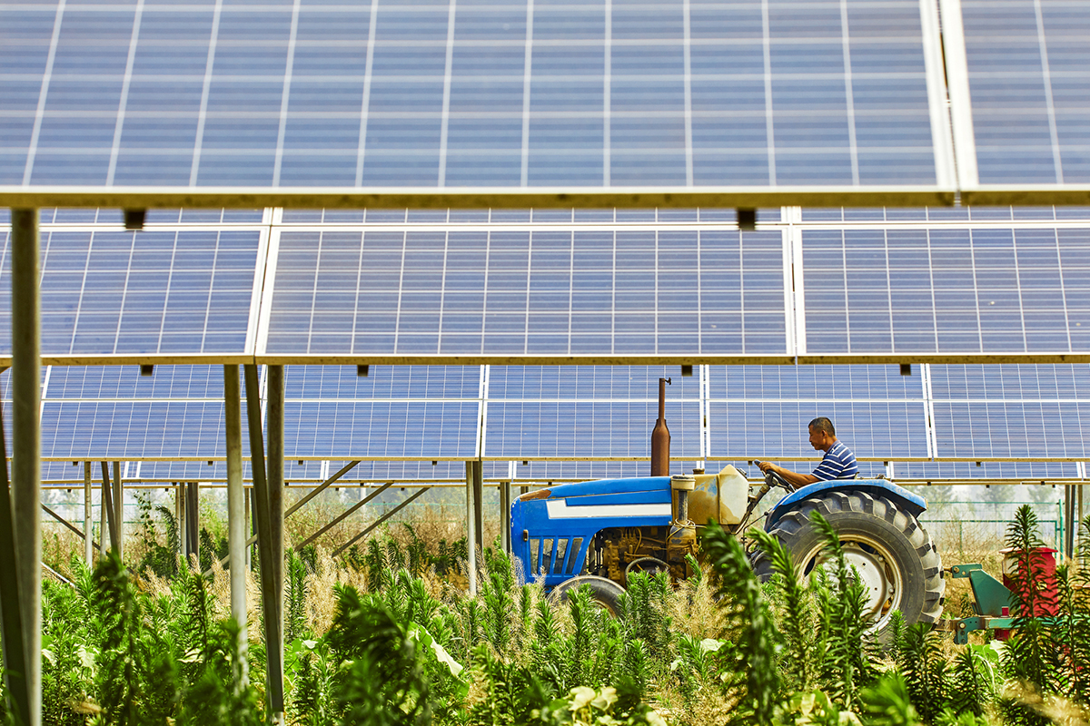 Rilevanti novità riguardano l’agrovoltaico Confagricoltura: Bene l’accelerazione sulle rinnovabili. Irrisolto il caro energia delle imprese agricole