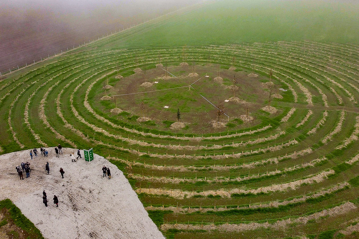 Il cuore pulsante, verde e vivo de “Il Bosco del Molino”