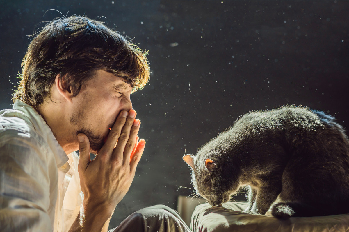 Allergia a cane e gatto: cosa c'è da sapere su sintomi, test e cura
