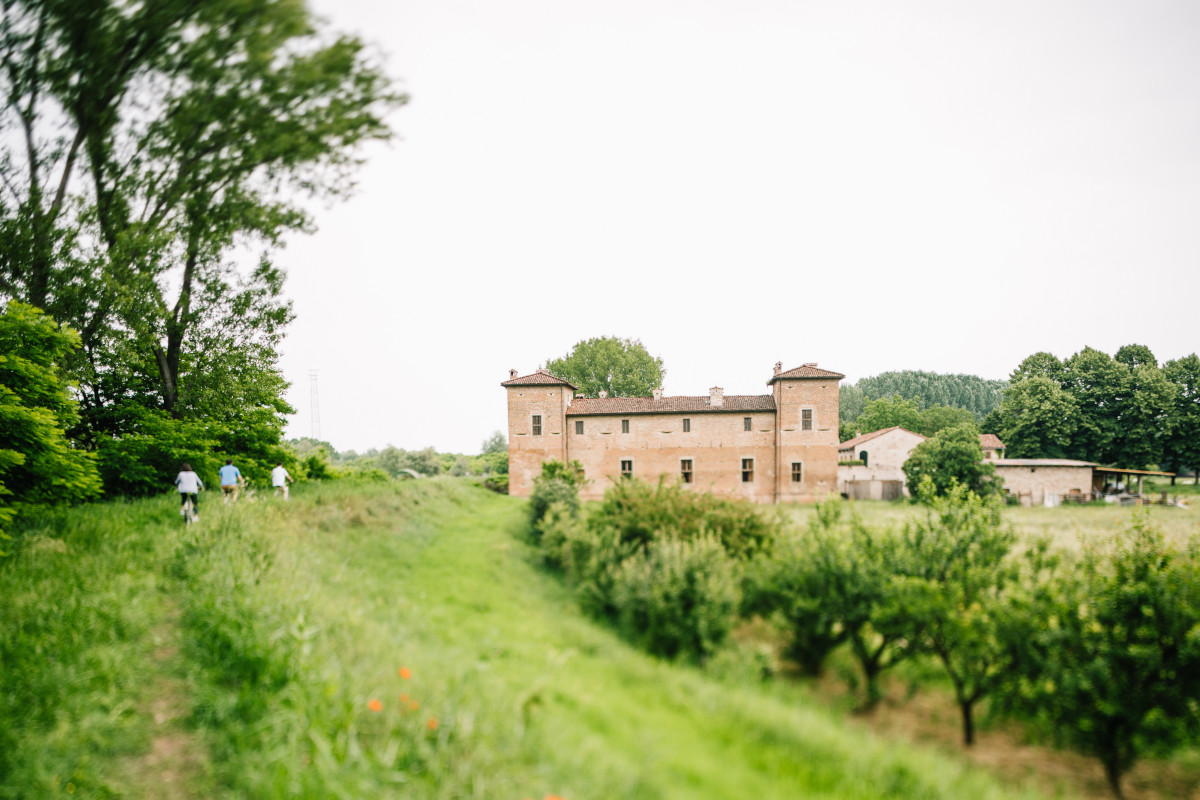 A contatto con il bosco: i migliori hotel d'Italia per una vacanza tra gli alberi