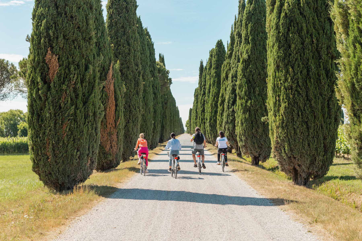 In bici alla scoperta del territorio Doc Aquileia, un vino tutto da esplorare