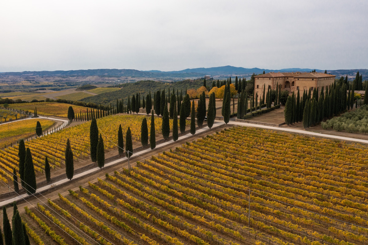 Con Altesino e Argiano il vino di Montalcino sa essere anche versatile