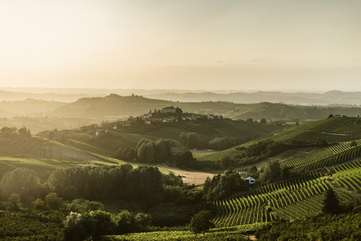 Asti Docg: un primo semestre 2024 all'insegna della stabilità