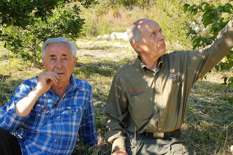 Augusto Tocci e Pino Crestini Reminiscenze regionali: Molise, una terra di tartufi