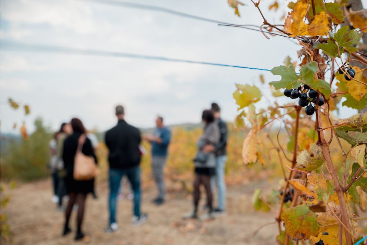 Autunno Pavese, in mostra le eccellenze enogastronomiche della provincia di Pavia
