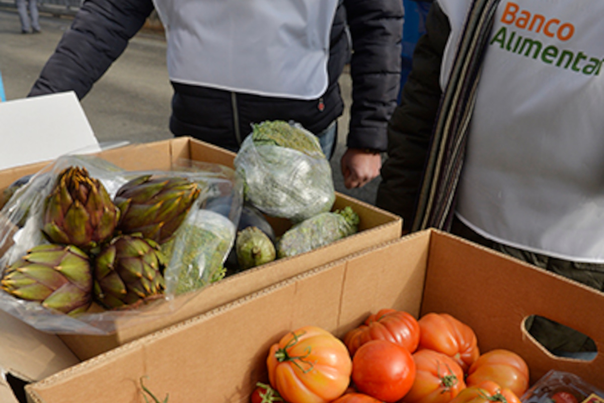 Banco Alimentare, Piemonte 2ª Regione d’Italia per la raccolta di cibo