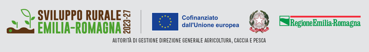 Lambrusco Emilia Igt: più tracciabilità e tutela con la fascetta di Stato