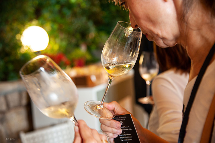 Degustazione (Bergamo, vini en primeur Comunicazione oltre a qualit&agrave;)