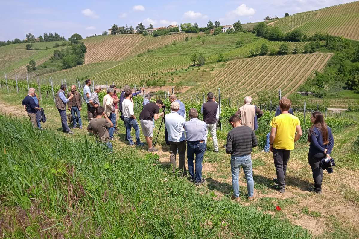 Biodivigna: un modello per la gestione sostenibile del vigneto in Oltrepò pavese