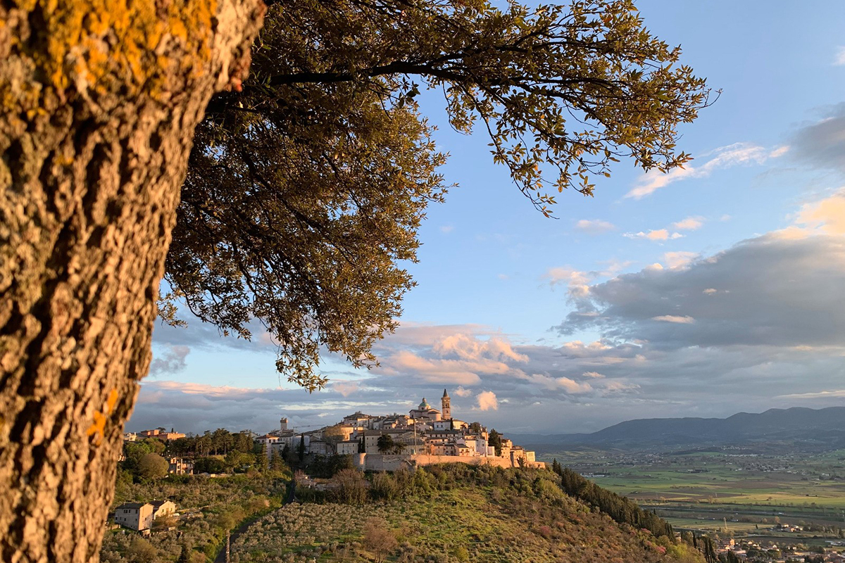 A piedi tra boschi, ulivi e borghi Autunno a piedi in Umbria tra caccia al tartufo e olio nuovo