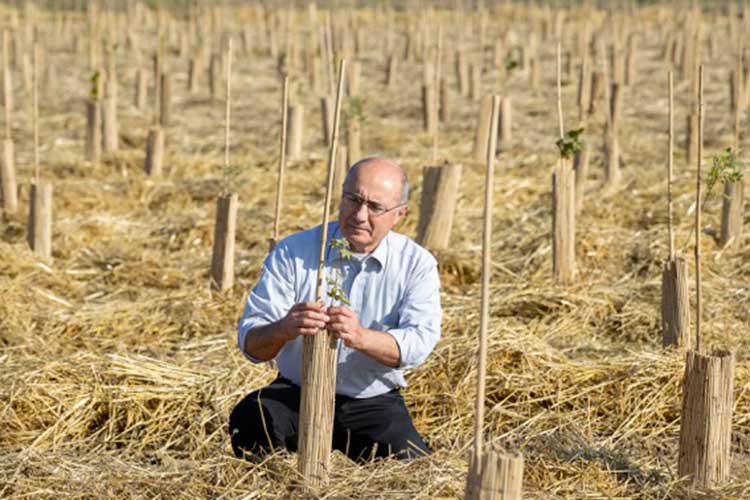 Alberto Figna nel luogo dove sorgerà il bosco Agugiaro