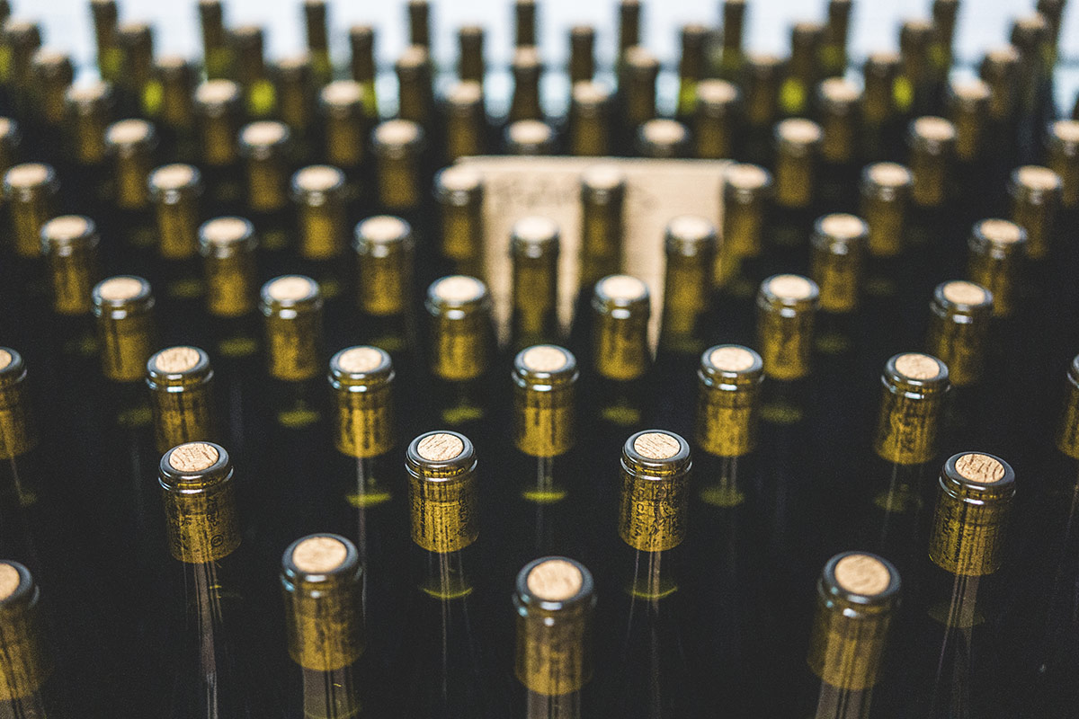 Tutta la passione di Marco Capra nei suoi vini... di un'altra Langa