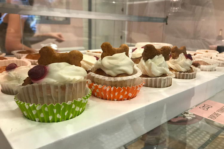 I pupcakes di Bravo Cookies (Bravo Cookies, a Roma la prima pasticceria per cani)