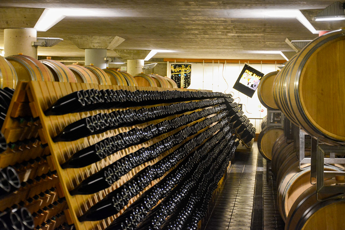 PN 1150, lo spumante che porta il Pinot Nero dove nessuno aveva il coraggio di arrivare