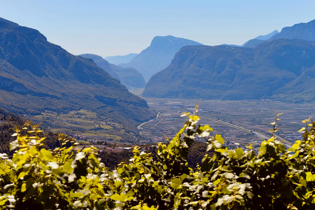 PN 1150, lo spumante che porta il Pinot Nero dove nessuno aveva il coraggio di arrivare