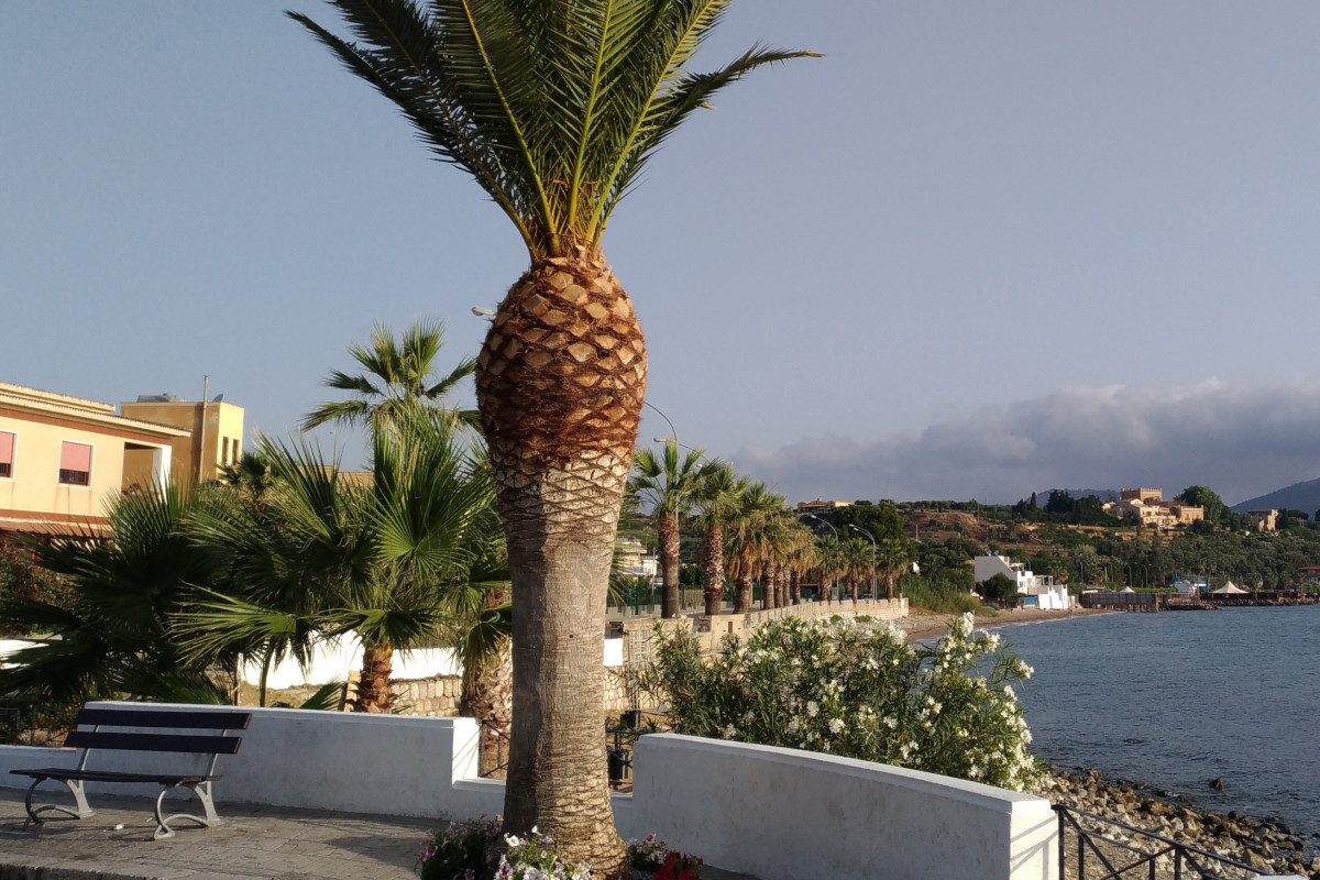 Alla scoperta del buccellato, il dolce di Natale che sembra un centro tavola