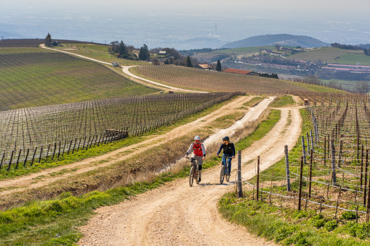 Ca' del Moro: quando il vino incontra la cucina d'autore in Valpantena